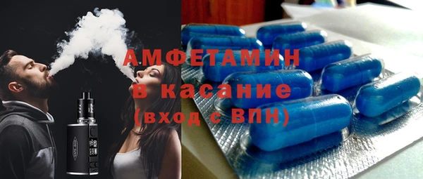 шишки Белокуриха
