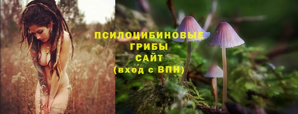 сатива Белоозёрский