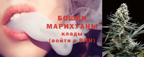 шишки Белокуриха