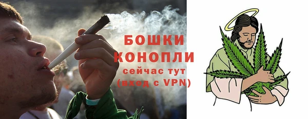 шишки Белокуриха