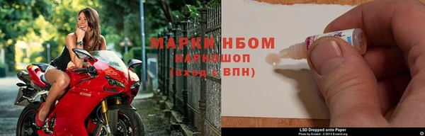 шишки Белокуриха
