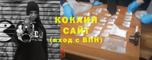 шишки Белокуриха