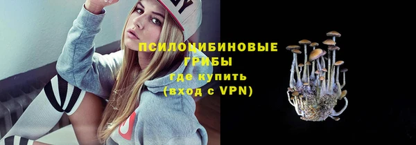 сатива Белоозёрский