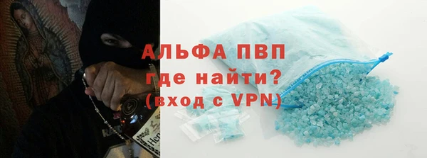 шишки Белокуриха