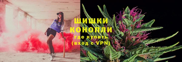 сатива Белоозёрский