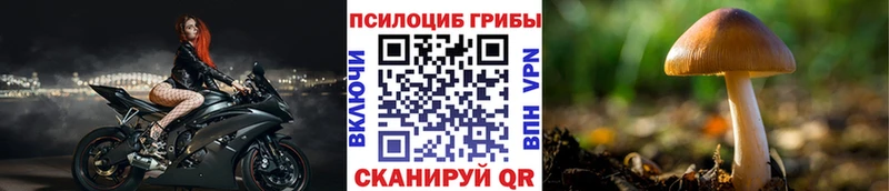 Галлюциногенные грибы Cubensis  сколько стоит  Курчатов 